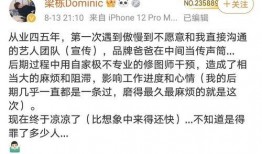 圈内爆料张哲瀚视频,圈内爆料引发热议